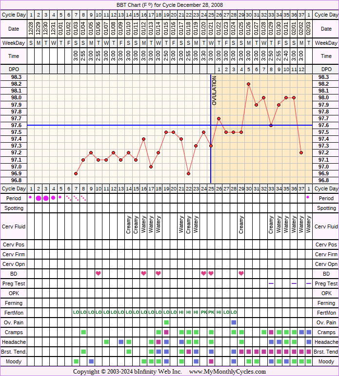 Fertility Chart for cycle Dec 28, 2008, chart owner tags: BFN (Not Pregnant), Fertility Monitor, Stress Cycle