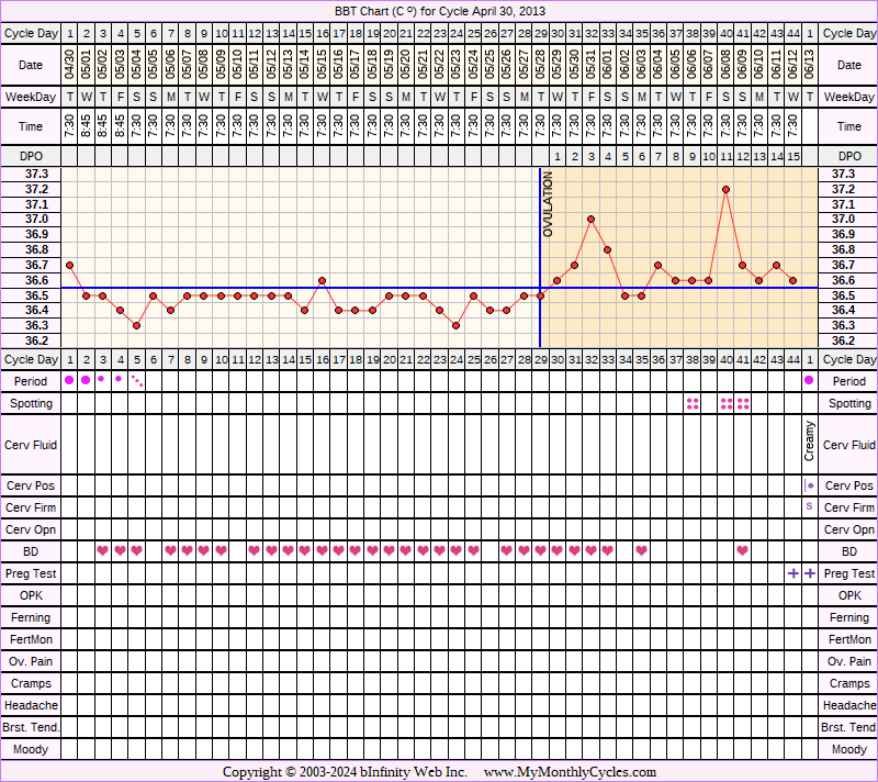 Fertility Chart for cycle Apr 30, 2013, chart owner tags: BFN (Not Pregnant), BFP (Pregnant), Miscarriage