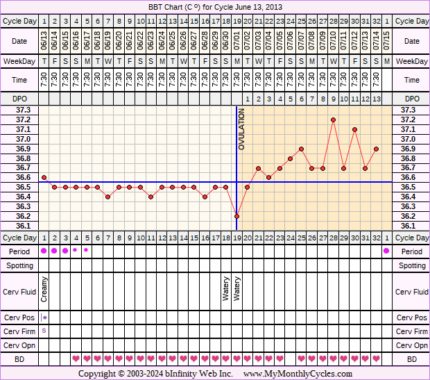 Fertility Chart for cycle Jun 13, 2013, chart owner tags: BFN (Not Pregnant)