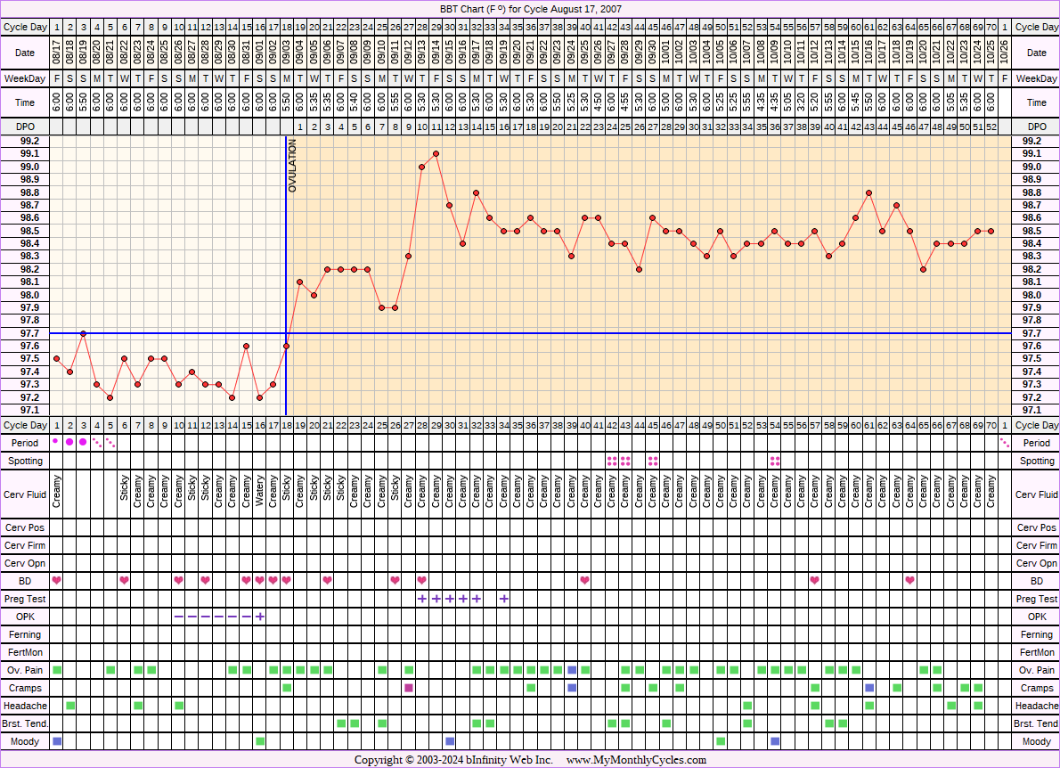 Fertility Chart for cycle Aug 17, 2007, chart owner tags: BFP (Pregnant), Ovulation Prediction Kits