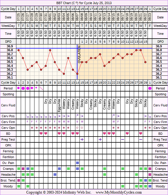 Fertility Chart for cycle Jul 25, 2013, chart owner tags: BFN (Not Pregnant), Other Meds, Slow Riser
