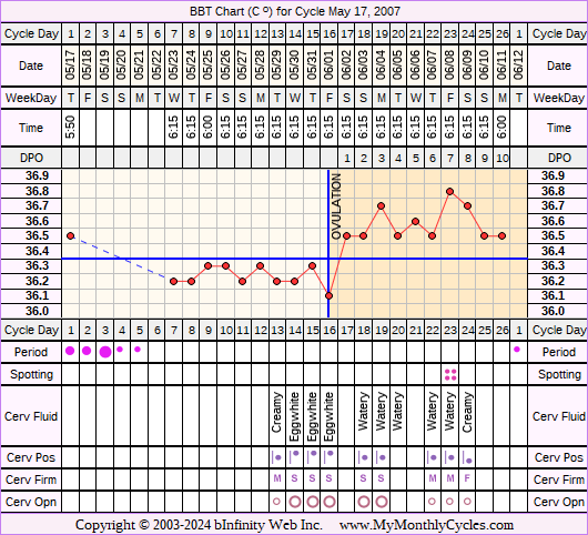 Fertility Chart for cycle May 17, 2007