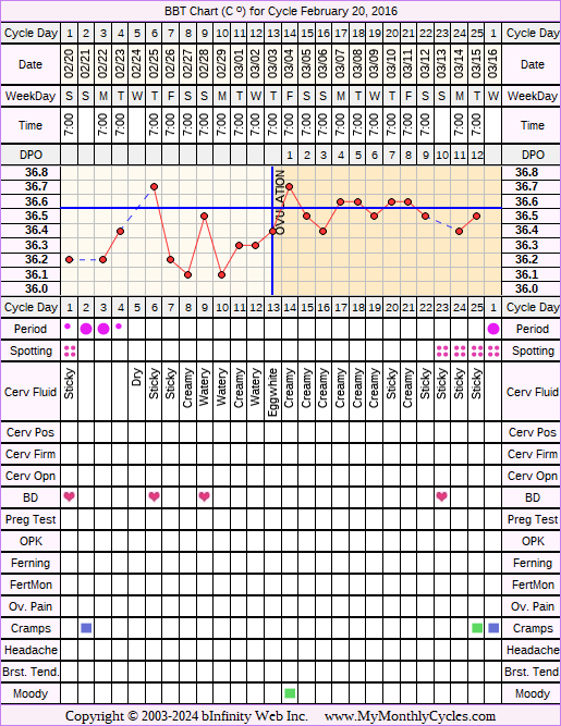 Fertility Chart for cycle Feb 20, 2016, chart owner tags: BFN (Not Pregnant), Biphasic, Slow Riser, Stress Cycle