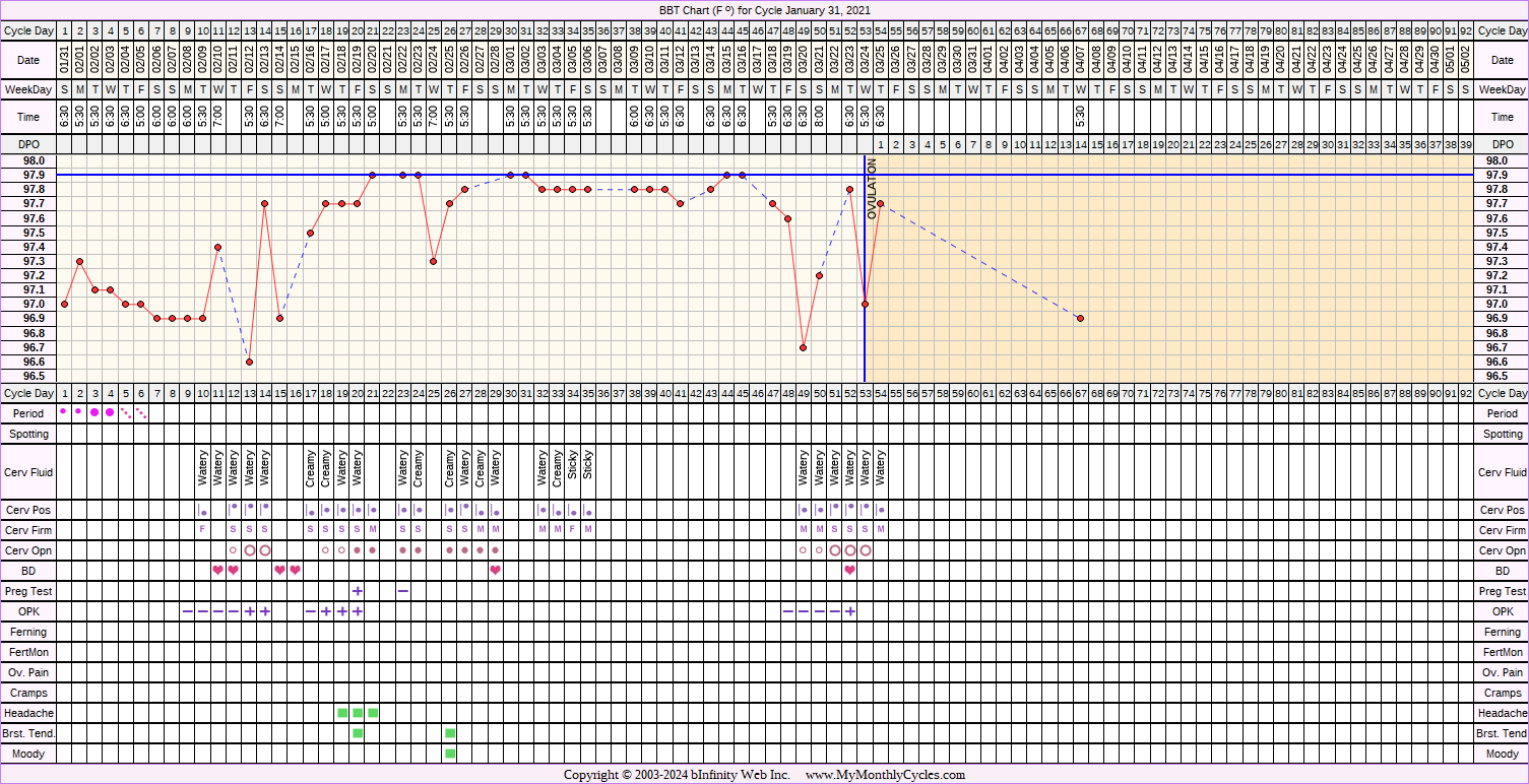 Fertility Chart for cycle Jan 31, 2021