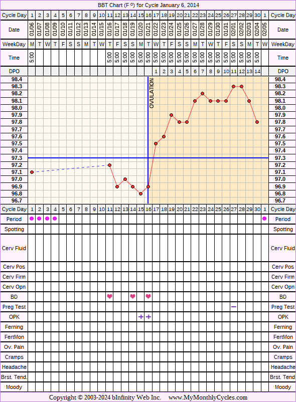 Fertility Chart for cycle Jan 6, 2014, chart owner tags: BFN (Not Pregnant), BFP (Pregnant), Fertility Monitor, Herbal Fertility Supplement, Ovulation Prediction Kits