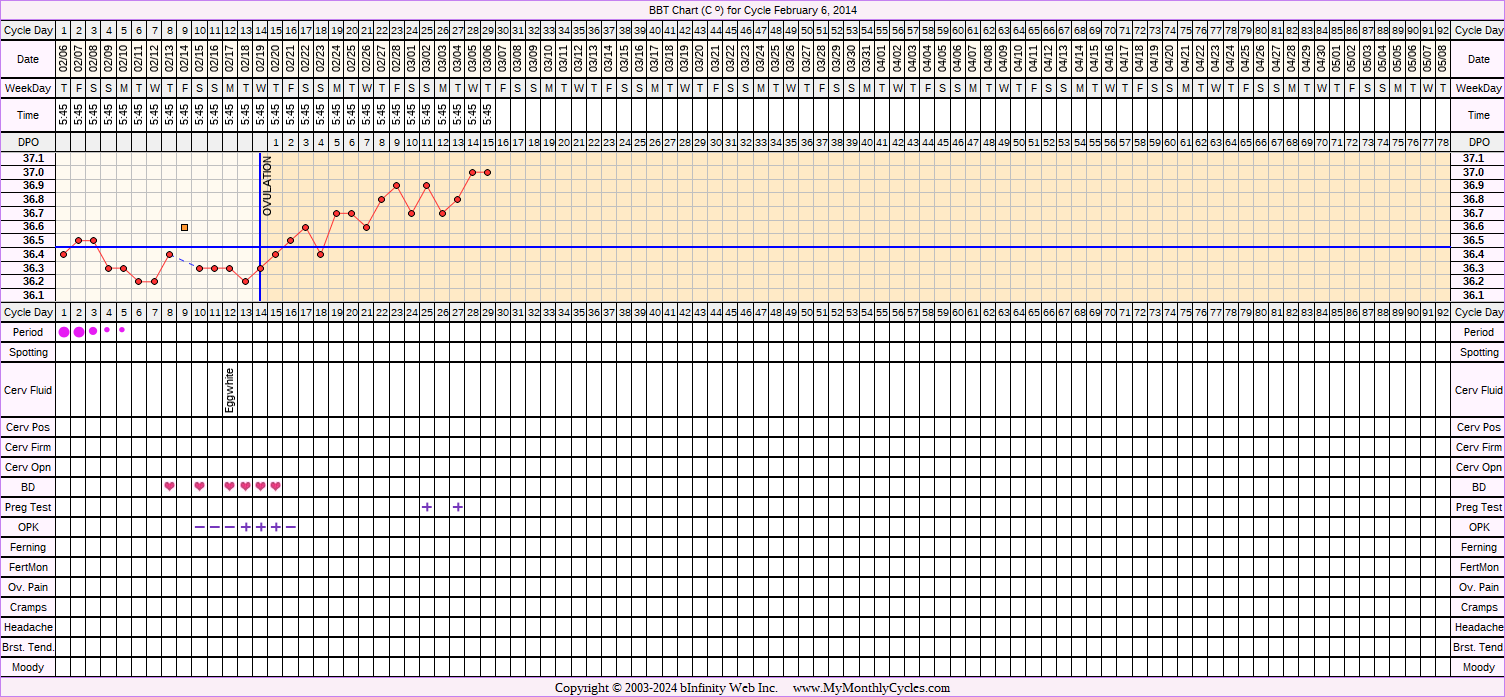 Fertility Chart for cycle Feb 6, 2014, chart owner tags: BFP (Pregnant), Herbal Fertility Supplement, Ovulation Prediction Kits