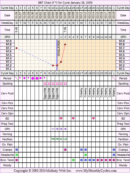 Fertility Chart for cycle Jan 26, 2009, chart owner tags: BFN (Not Pregnant), Fertility Monitor, Herbal Fertility Supplement, Ovulation Prediction Kits, Uterine Fibroids