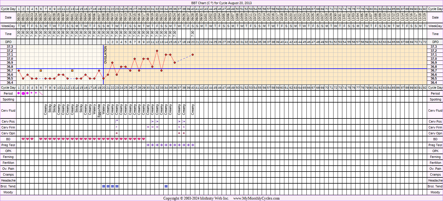 Fertility Chart for cycle Aug 20, 2013, chart owner tags: BFP (Pregnant)