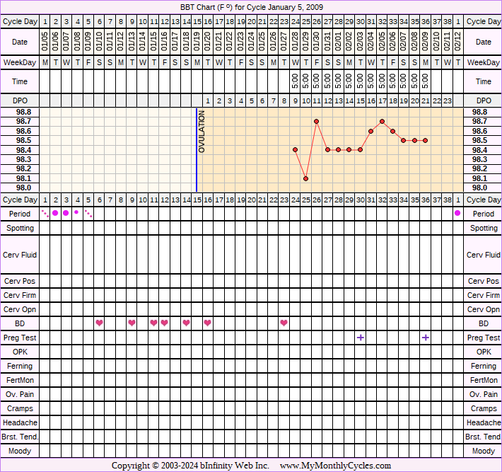 Fertility Chart for cycle Jan 5, 2009, chart owner tags: BFP (Pregnant), Miscarriage